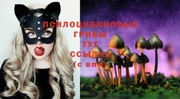 амфетамин Богородицк