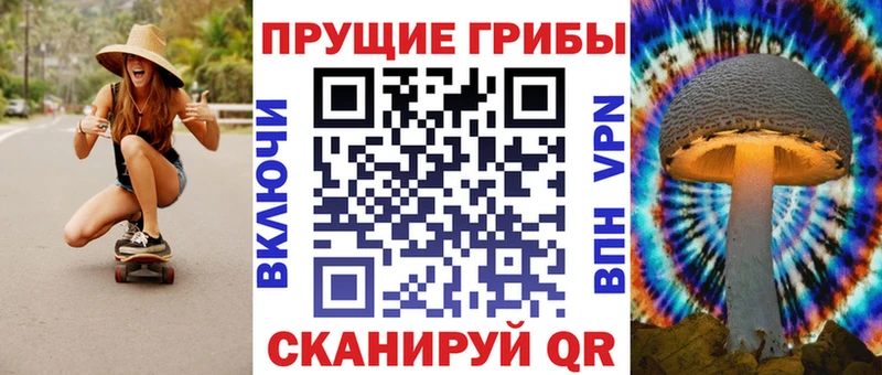 Галлюциногенные грибы Psilocybine cubensis  KRAKEN сайт  darknet состав  что такое   Оха 